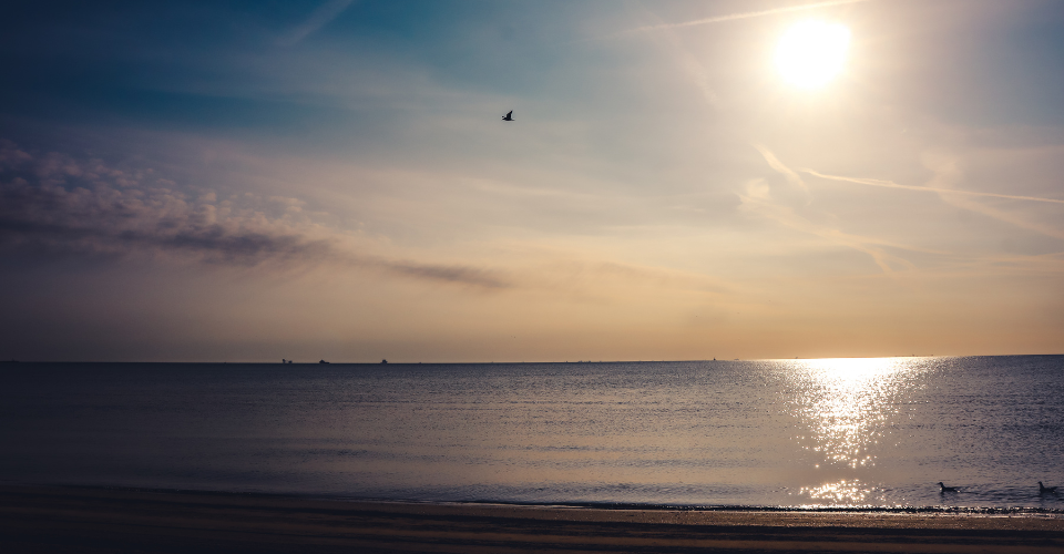 marina di ravenna
